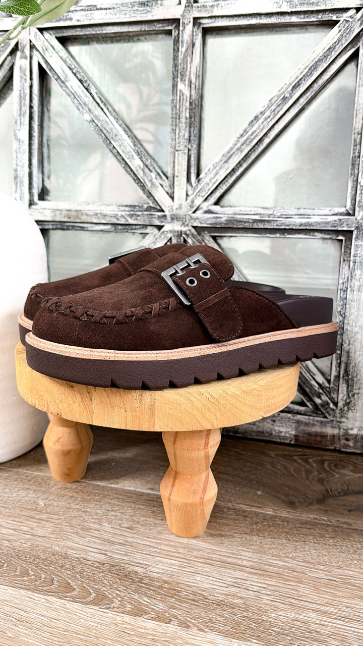 Zamara Suede Buckle Clog, Chocolate