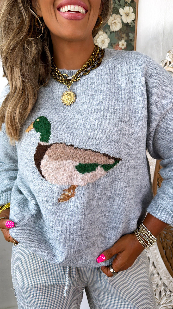 Sitting Duck Sweater, Grey