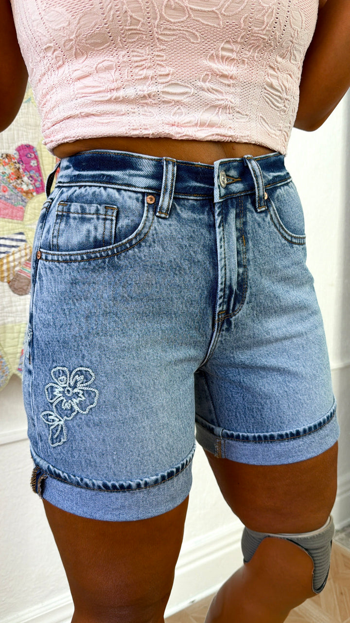Dustin Rose Denim Shorts, Medium