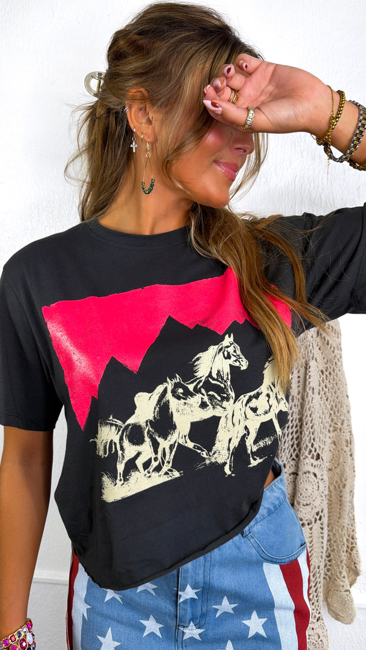 Mountain Trio Horse, Black