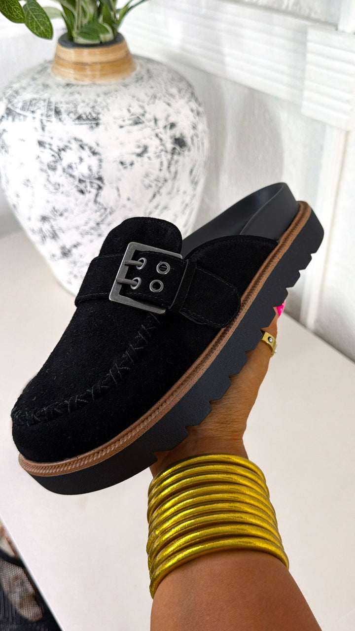 Zamara Suede Buckle Clog, Black