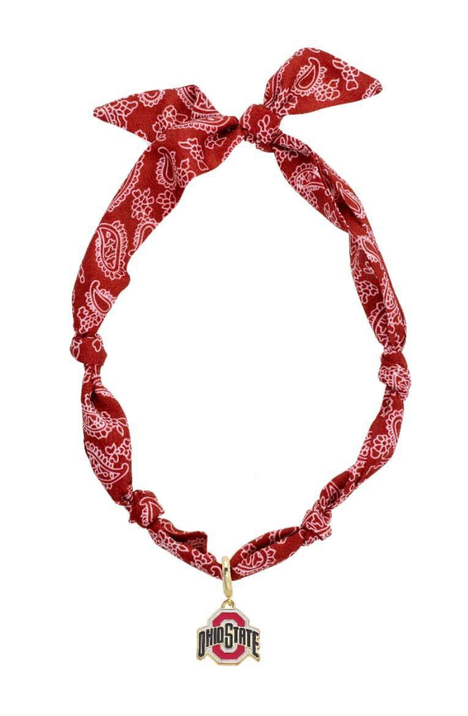 Buckeyes  Bandana Scarf Necklace, Red