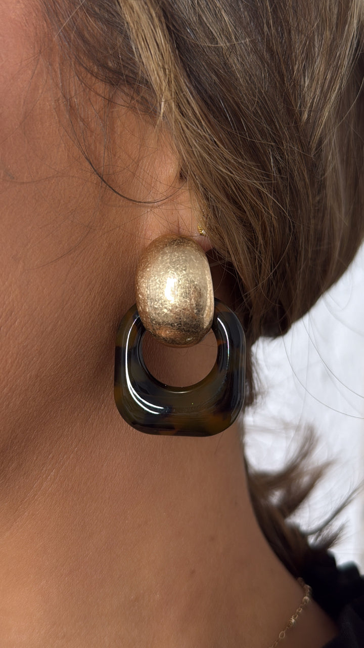 Tortoise Square Hoops
