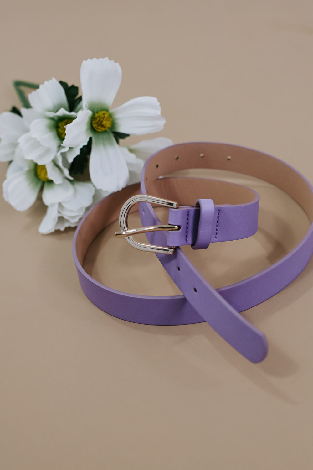 Daily Wear Belt, Purple
