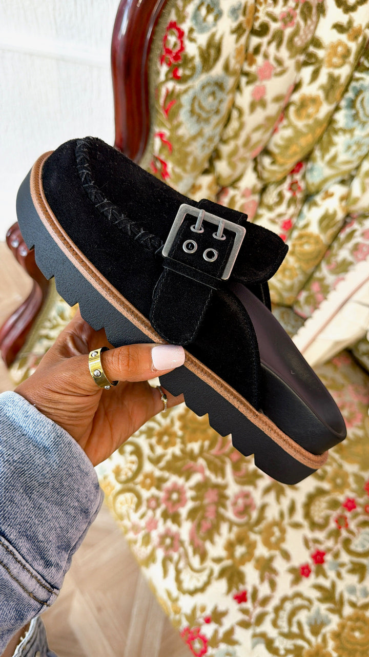 Zamara Suede Buckle Clog, Black