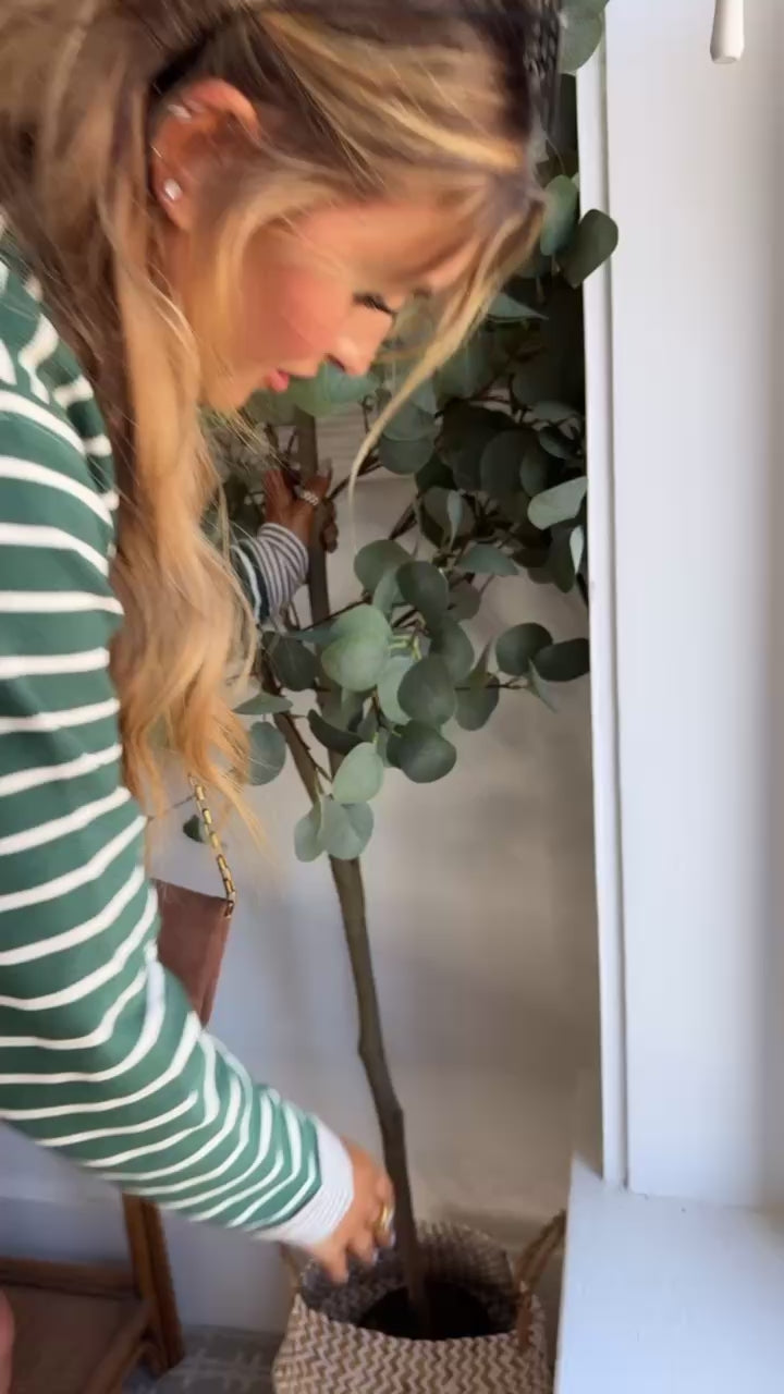 The Stripe Edit Two Piece Set, Juniper Green