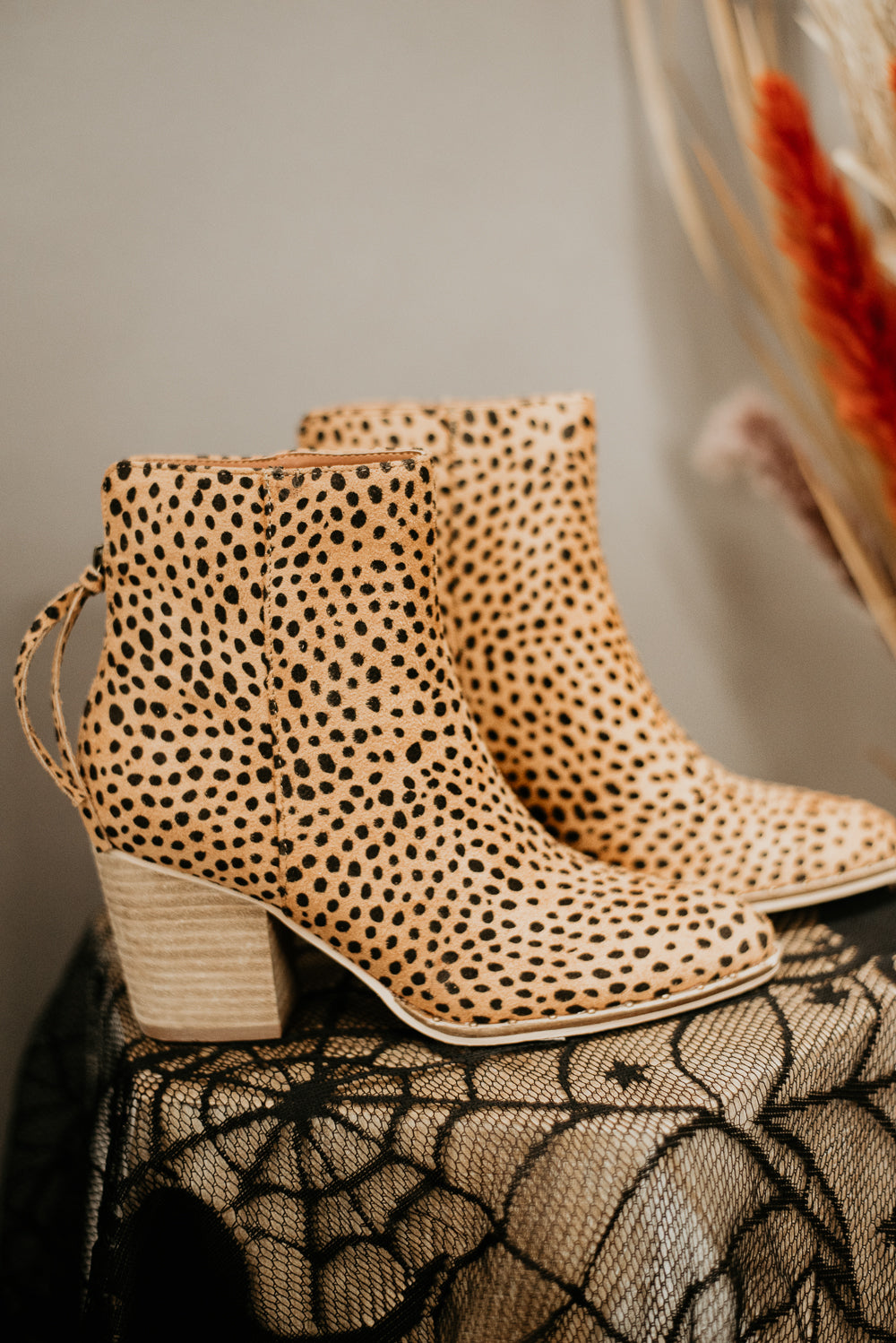 The Main Event Bootie, Cheetah